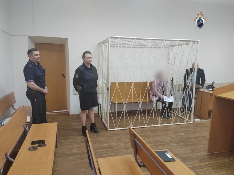 В Ярославской области взяли под стражу женщину, забившую мужа ножом