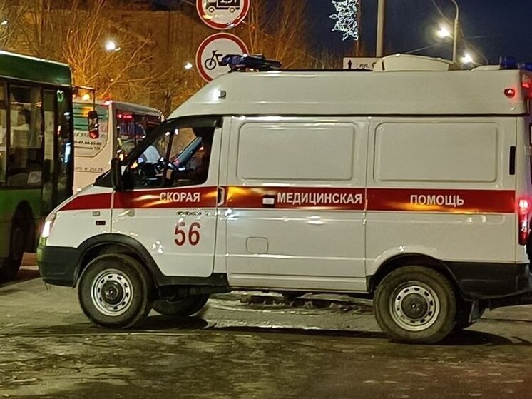 На трассе под Бийском автомобиль сбил лося, пострадавших доставили в больницу