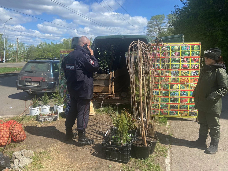 В Ленинском районе Красноярска началась борьба с нелегальной торговлей