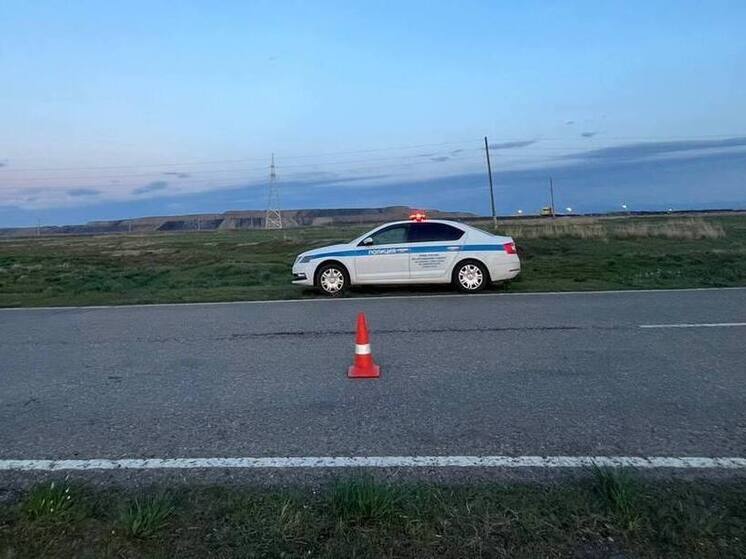 В Хакасии малолетние байкеры сбили лошадь и получили тяжелые травмы