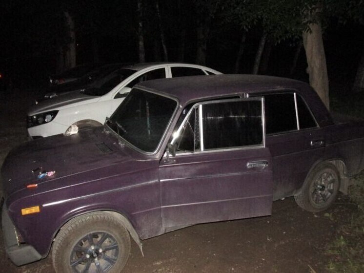 Жительница Башкирии задержала автомобильного воришку