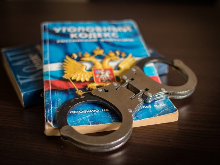 Супруги из Петрозаводска вновь оказались за решёткой из-за преступлений, связанных с наркотиками