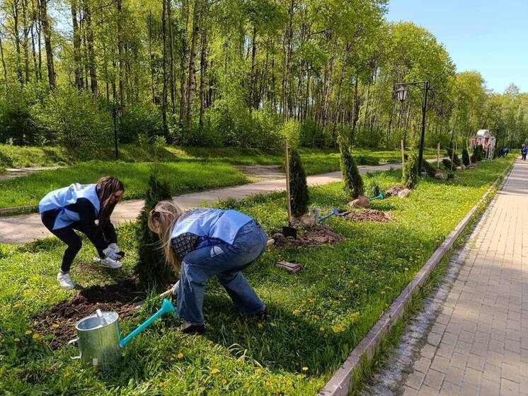 В Калуге высадили деревья в честь героев
