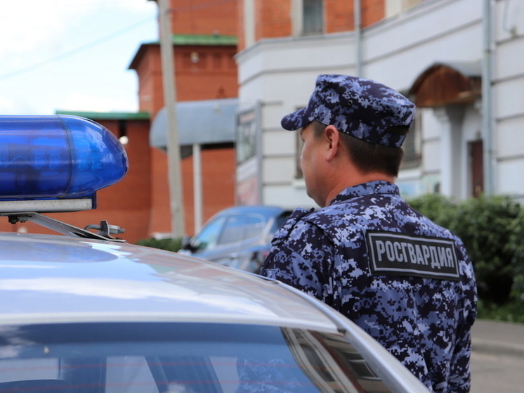 В Марий Эл сотрудники Росгвардии задержали подозреваемого в краже имущества у знакомого