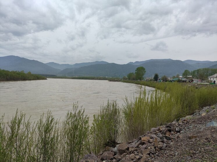 От Абазы к Абакану идет большая паводковая волна