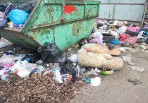 Мусорный коллапс – так можно описать ситуацию, с которой приходится сталкиваться жителям Заречного.