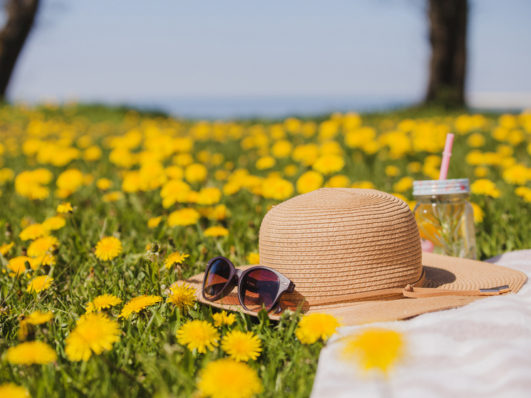 Лето можно не ждать: синоптики прогнозируют резкие перепады погоды на 3 месяца