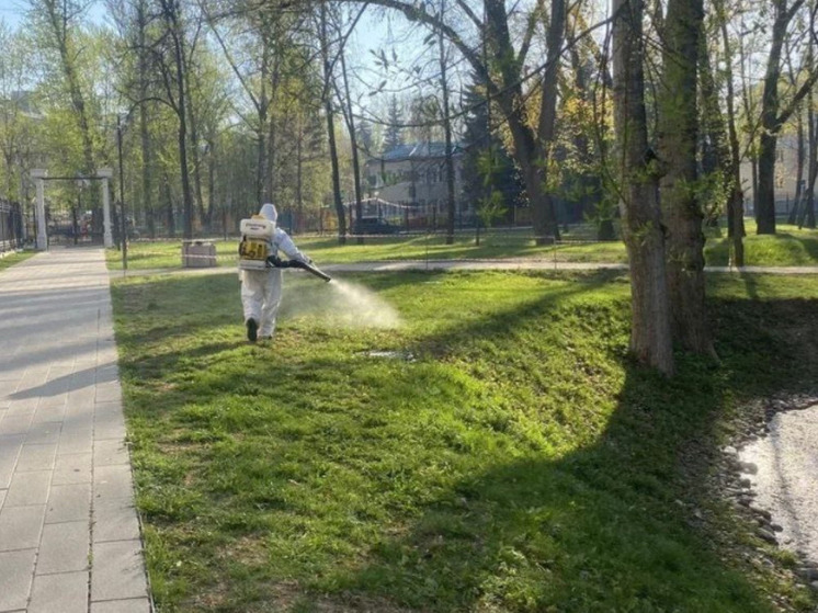 Порядка 2,5 тысяч случаев укусов клещей зафиксировано в Подмосковье с начала сезона