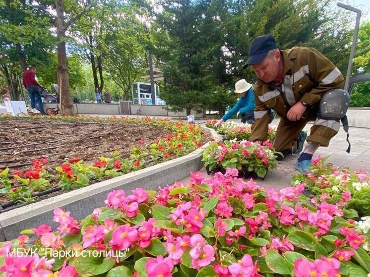 В симферопольском сквере высадили тысячу цветов