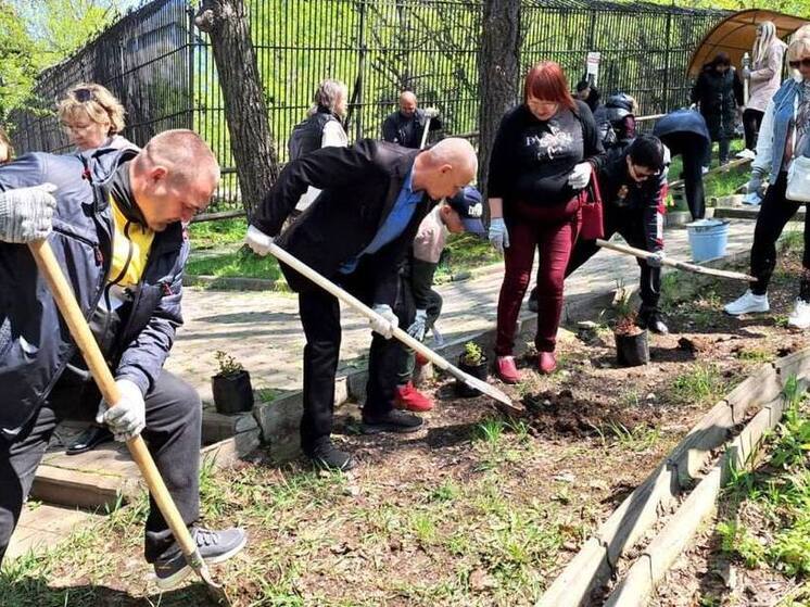 В зоосаде «Приамурский» высадили деревья в память о героях СВО