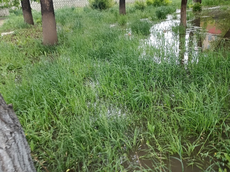 В Оренбурге затопило кладбище