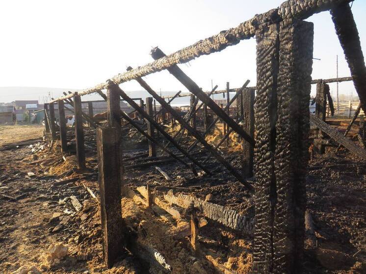 Три жеребца и 30 баранов погибли в пожаре под Свирском