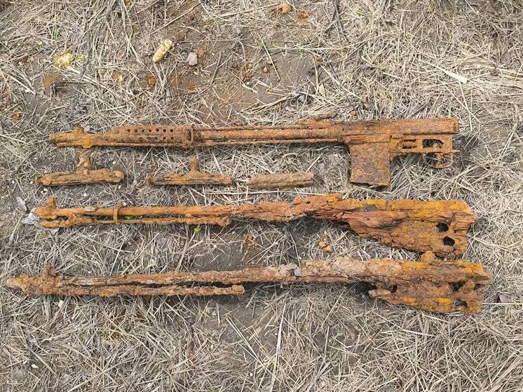 В Белевском районе поисковики нашли останки красноармейцев и оружие