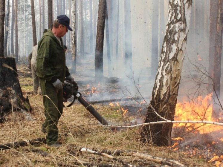 В Иркутской области ликвидировано восемь лесных пожаров за сутки