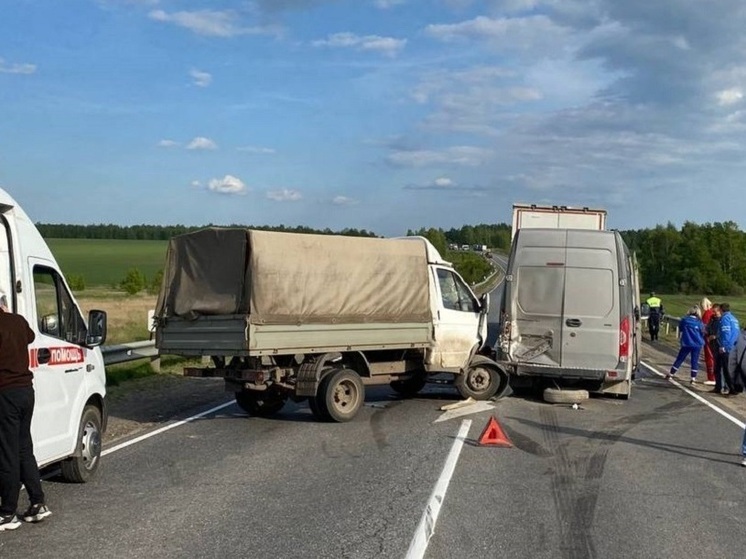 В массовом ДТП на трассе Р-22 в Скопинском районе пострадали два человека