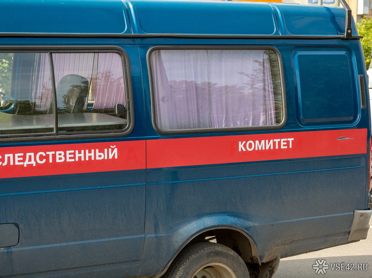 В Кузбассе следователи проводят проверку по факту отключения электричества