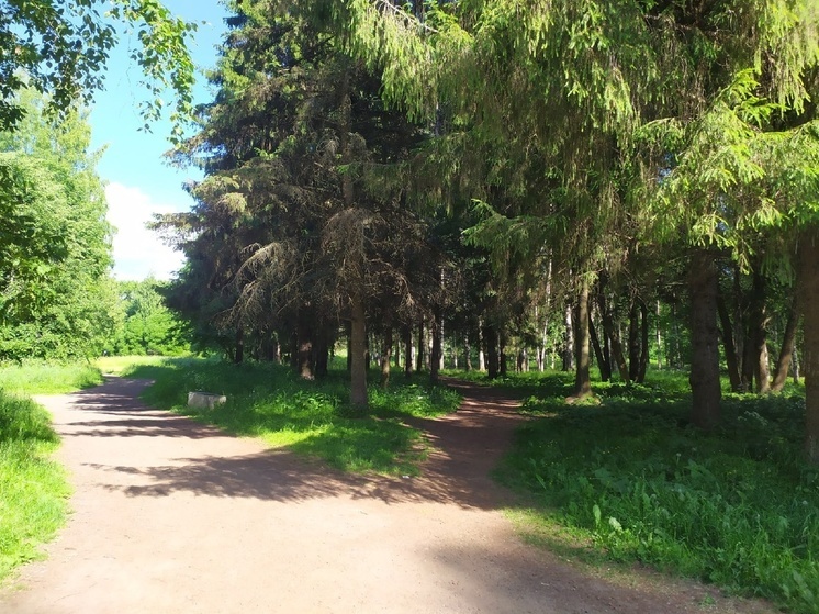 Парки Вологды приводят в порядок к лету