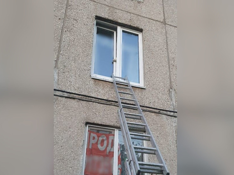 В Уфе спасли застрявшую в оконной раме домашнюю крысу