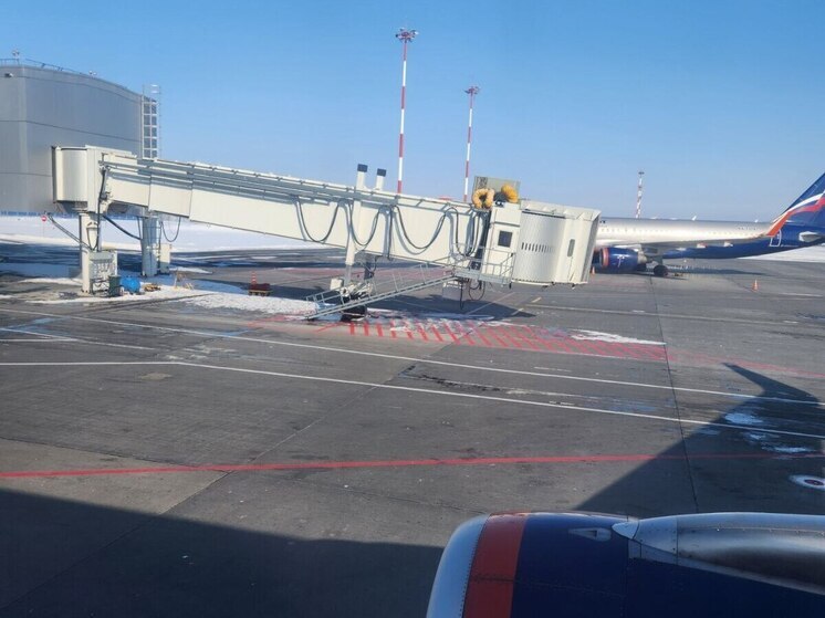 Самарец попытался на ходу выйти из самолета до Камчатки