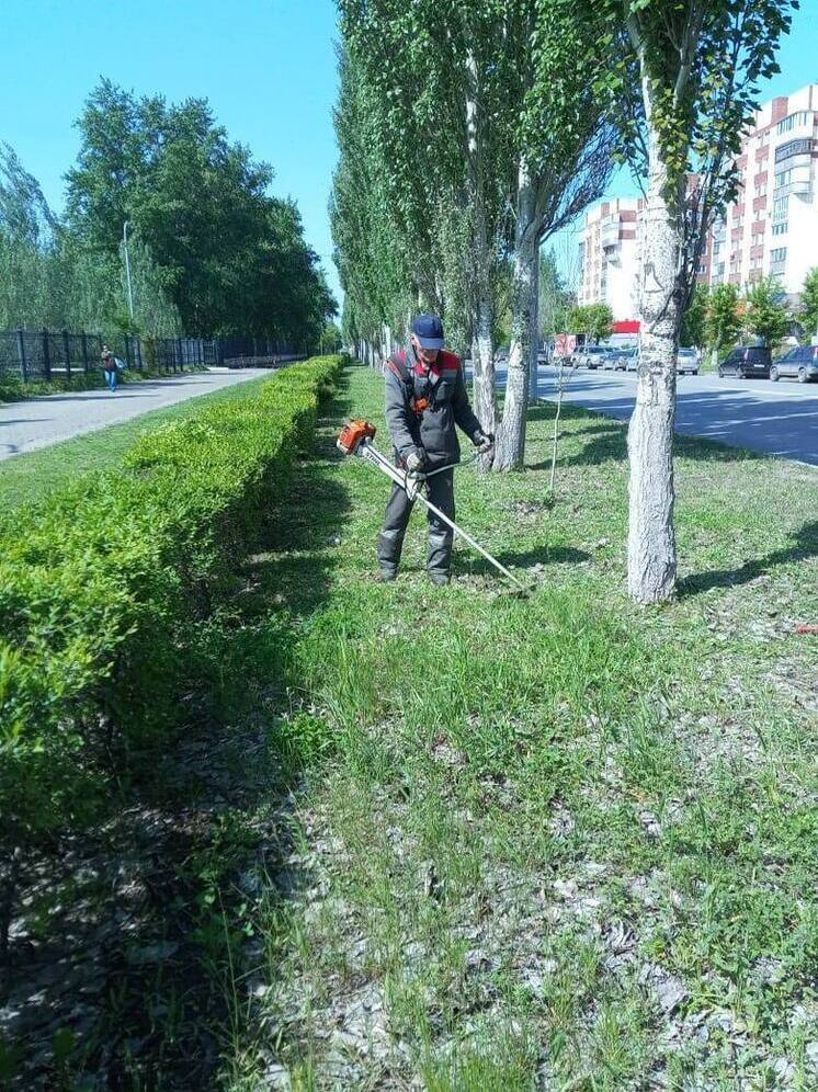 В Омске косят траву после майских дождей — уже обработано 275 гектаров