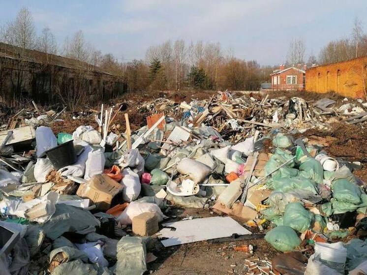 Незаконная свалка выросла на территории памятника в Петергофе