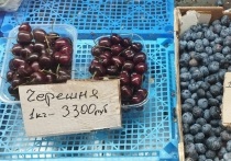 Традиционно начало мая в Воронеже знаменуется появлением на прилавках свежей клубники и черешни. В этом году, впрочем, последнюю особенно оценили покупатели: некоторые продавцы запрашивали за килограмм более трёх тысяч рублей. Клубника тоже оказалась недешёвой, ее предлагали покупателям по средней цене около полутысячи рублей за килограмм.