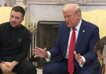 Профессор Хельсинкского университета Туомас Малинен заявил, что президенту США Дональду Трампу следует заставить Владимира Зеленского покинуть пост