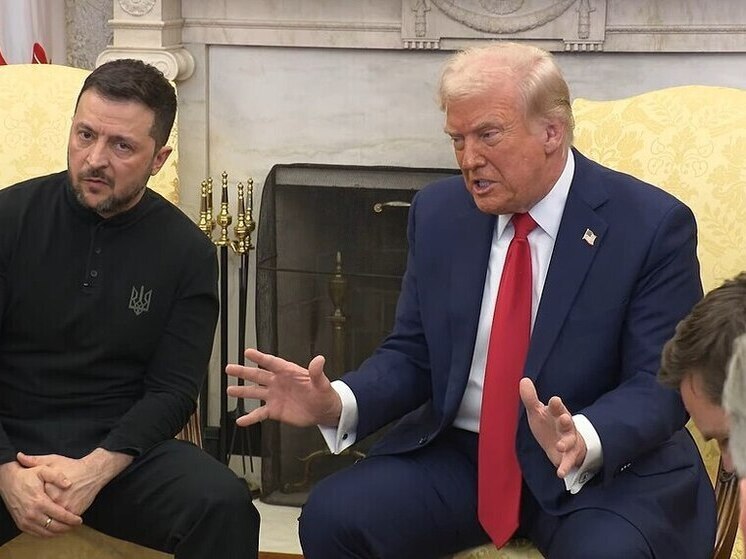 Профессор Малинен попросил Трампа заставить Зеленского уйти в отставку