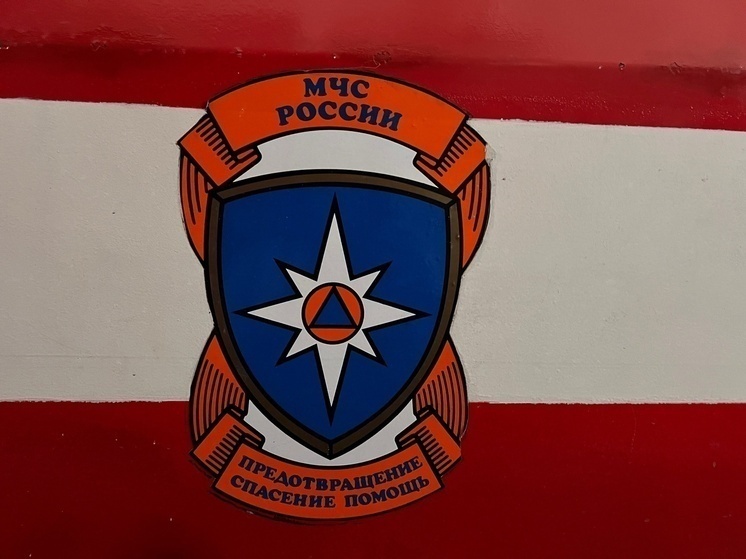 МЧС предупредило о грозах и сильном ветре в Тверской области