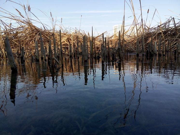 На Кубани предупредили о подъёме уровня воды в реках с 16 по 18 мая