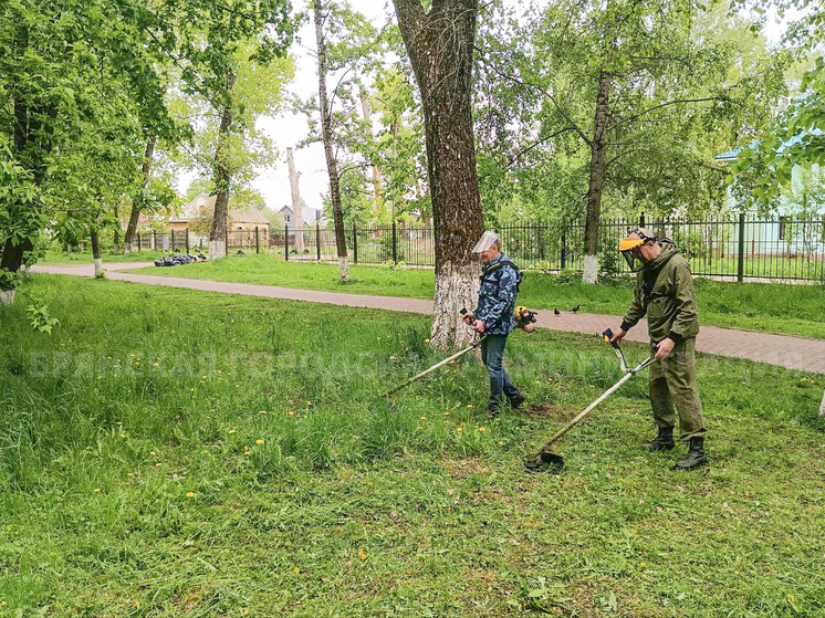 Каждый день на покос травы в Брянске будут отправлять более 20 человек
