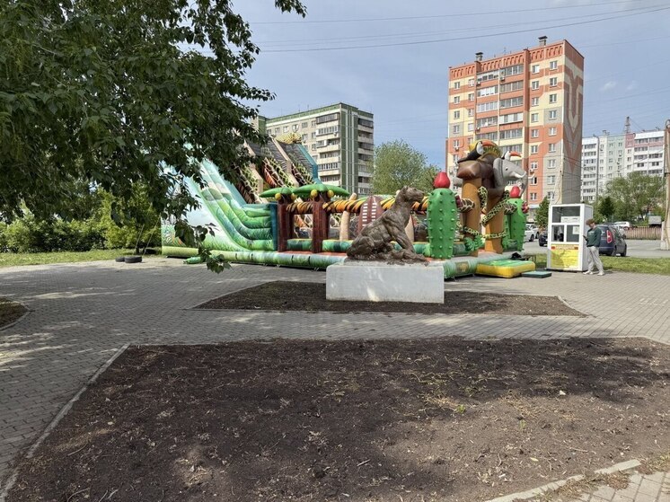 На улицах Челябинска нашли потенциально опасные детские батуты
