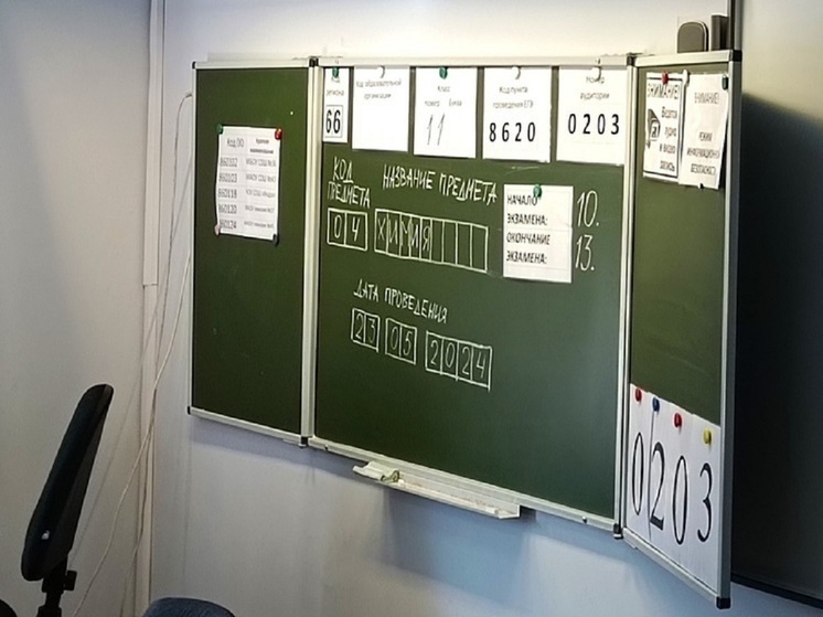 На Урале пройдут тестирования детей-иностранцев по русскому языку