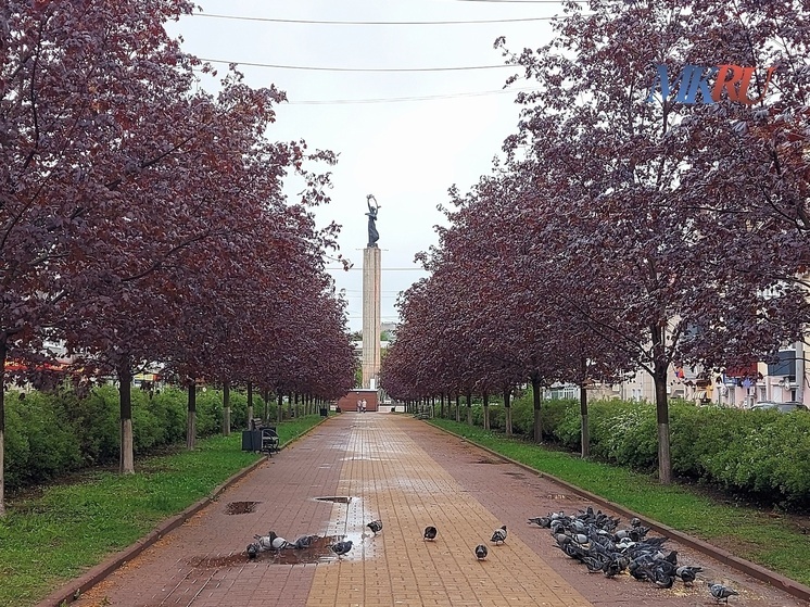 Калужан ждёт первая тёплая суббота мая