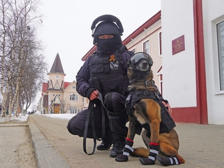 В НАО рассказали о тщательной проверке сквера у Вечного огня