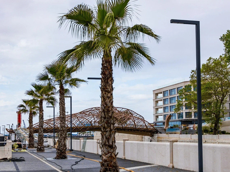 Близится к завершению строительство моста «Волшебный лист» в Сочи