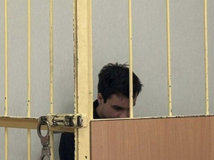 Стрелка в экс-хоккеиста на Торжковской отправили под домашний арест