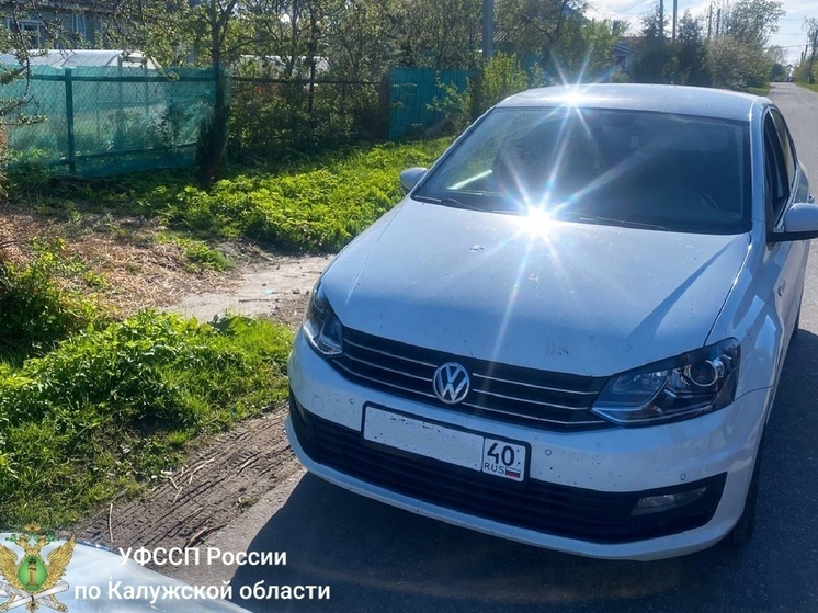 В Ферзиковском районе миллионного должника смогли задержать на дороге