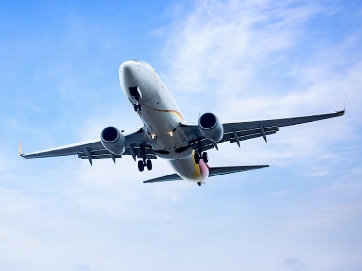 Без управления пилотов за штурвалом летели почти 200 пассажиров авиакомпании Lufthansa почти 10 минут