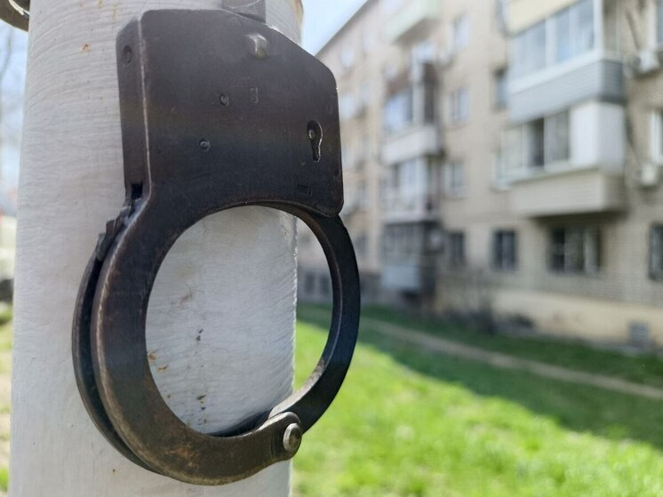 Хабаровский следком вмешался в дело об избиении школьницы