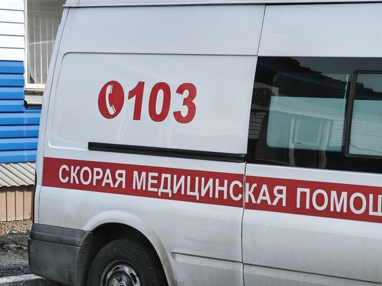 В смертельном ДТП столкнулись скорая помощь и грузовик на трассе ЕАО