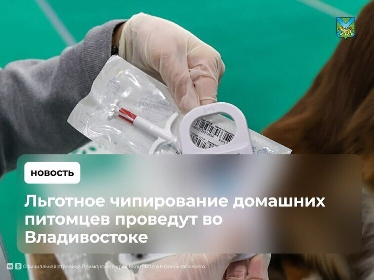 Во Владивостоке запускают льготное чипирование домашних собак