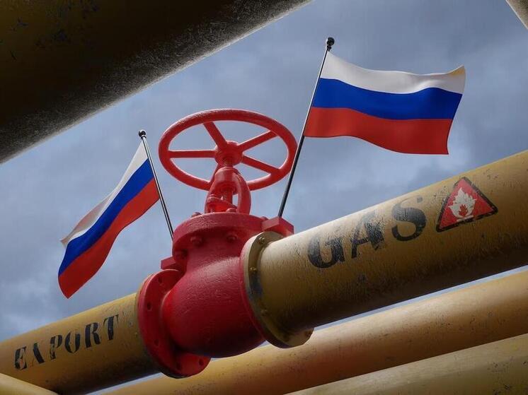 В марте 2025 года Франция стала главным импортером газа из России