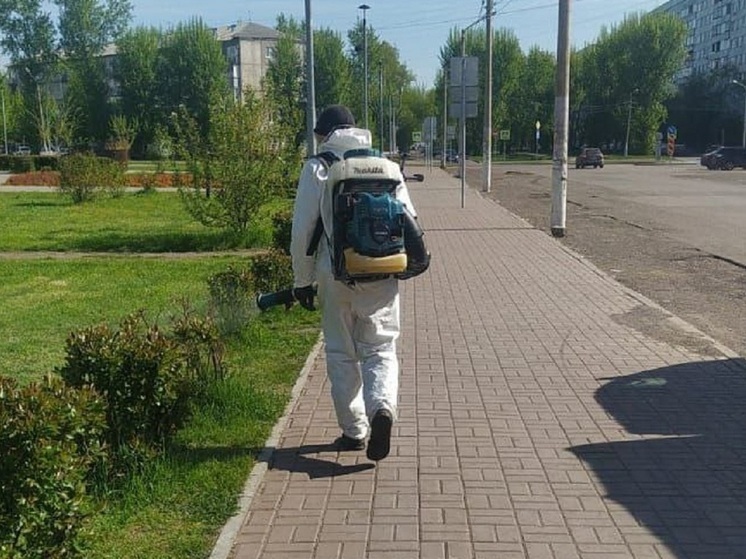 В Красноярске 17 мая обработают от клещей два парка, сквер и набережную