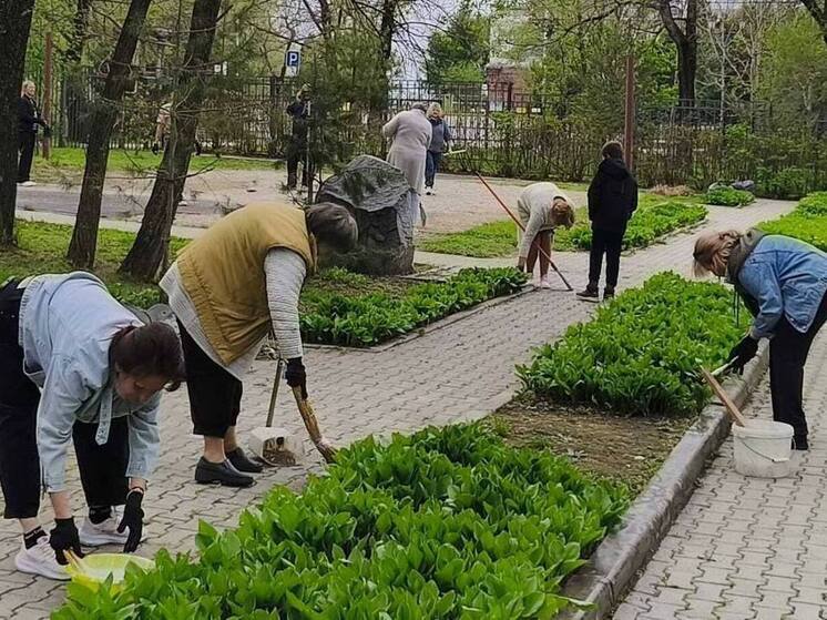 Хабаровск стал чище благодаря работе неравнодушных граждан