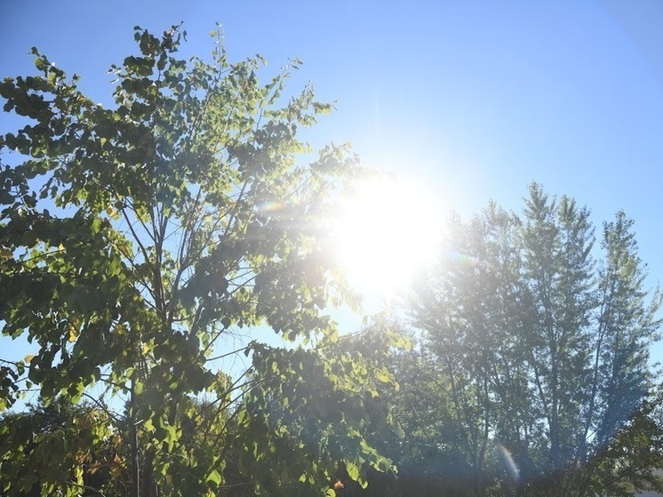 В Волгоградской области 17 мая ожидается до +27