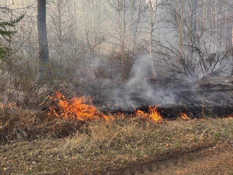 Волонтеры продолжают тушить огонь около села Кука в Читинском округе