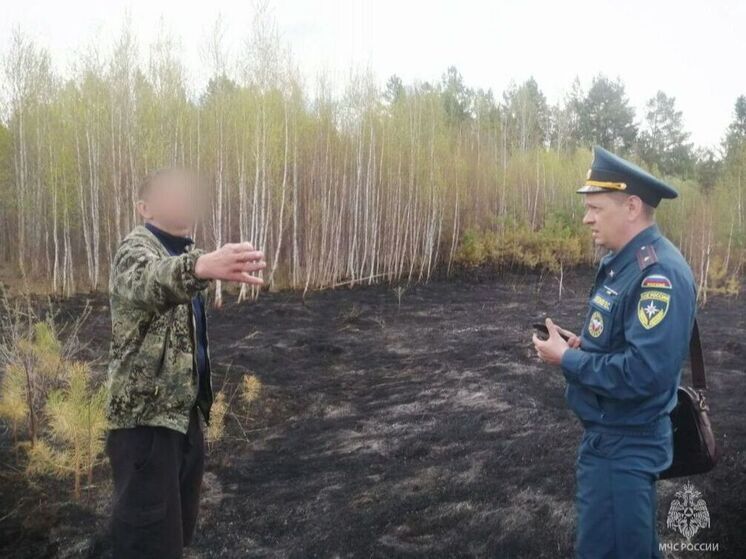 В Зиминском районе мужчина устроил лесной пожар, сжигая сухостой