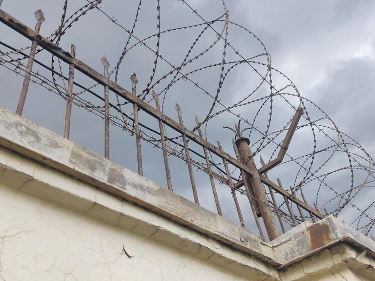 Экс-начальника УМВД по Василеостровскому району арестовали в Петербурге