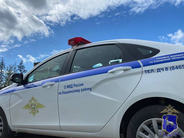 В Самарской области любительницу нетрезвой езды отправили на обязательные работы